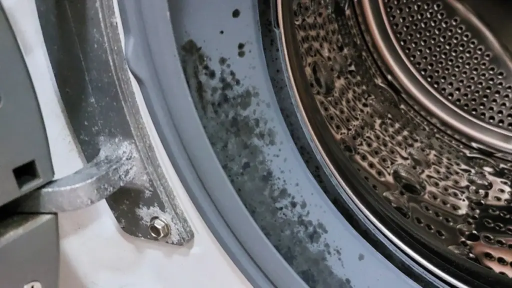 Dlaczego gumowa uszczelka w pralce wydziela przykry zapach? Oto jak ją wyczyścić raz na zawsze.
