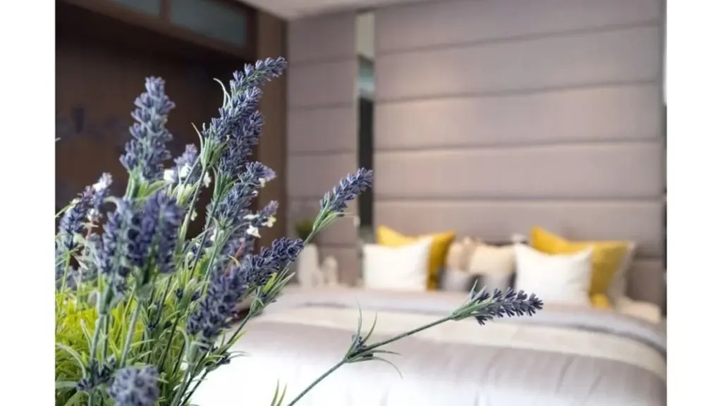 Feng Shui: Tylko jedna roślina postawiona w tym miejscu domu usunie złą energię