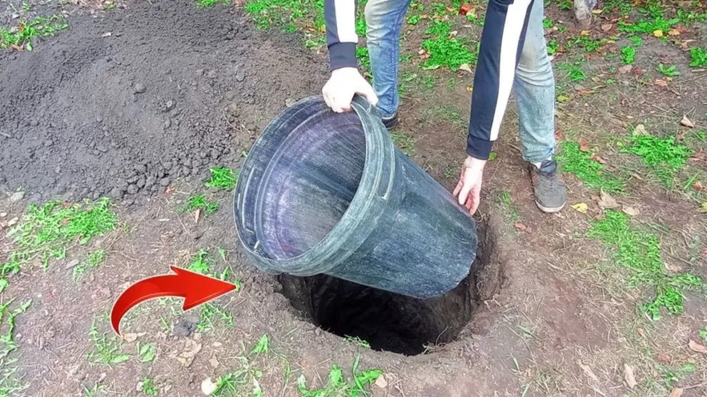 Plastikowa beczka pogrzebana pod ziemią zapewnia chłodne wnętrze bez prądu
