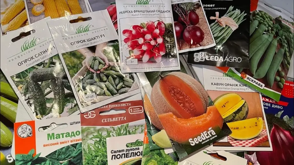Agronom spojrzał na moje nasiona i potrząsnął głową: przez 10 lat wyrzuciłem setki euro