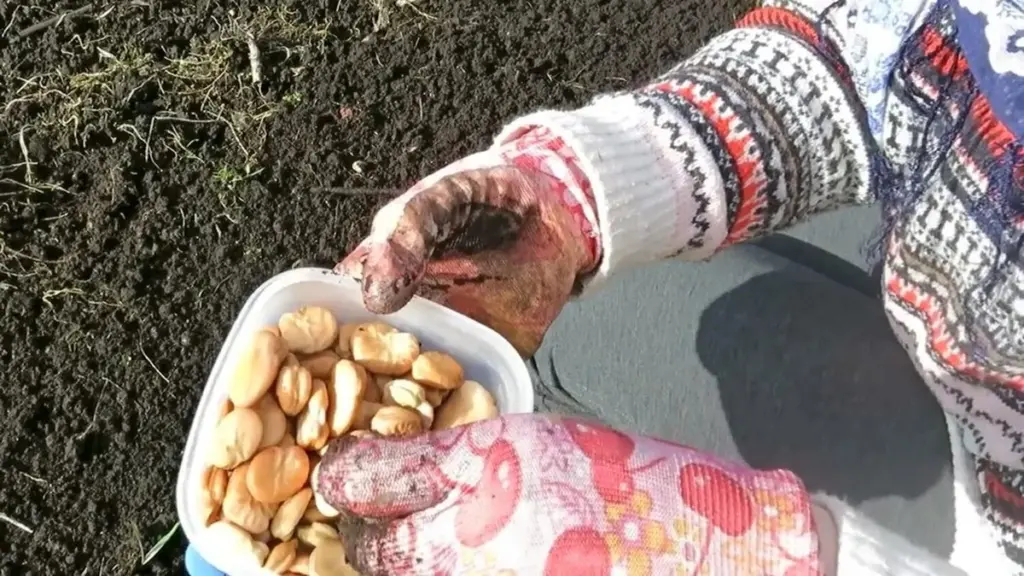 Marzec jeszcze nie stracony! 7 warzyw, które posadzisz nawet pod koniec miesiąca