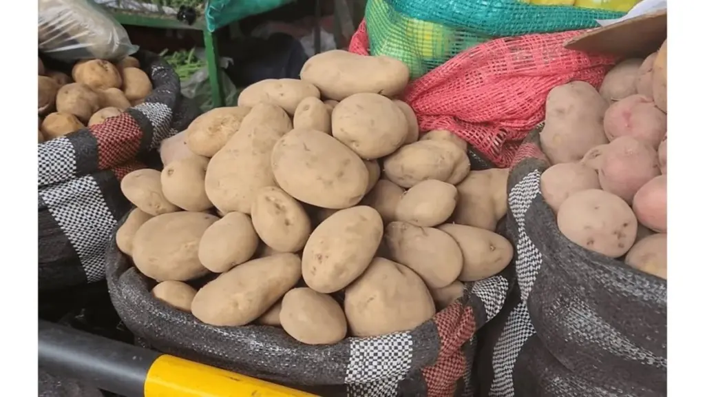 Siejai su rekordiniu bulvių derliumi? Sustok. Tai, ką atradau savo sode – priverčia susimąstyti.